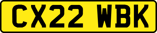 CX22WBK