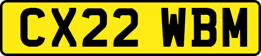 CX22WBM