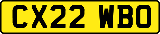 CX22WBO