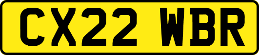 CX22WBR