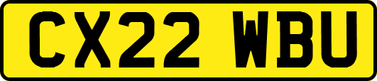 CX22WBU