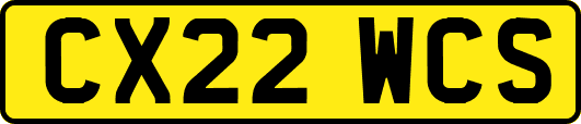 CX22WCS