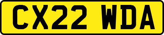 CX22WDA
