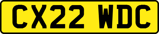 CX22WDC