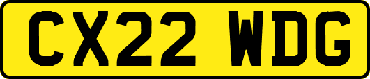 CX22WDG