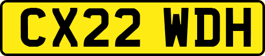 CX22WDH
