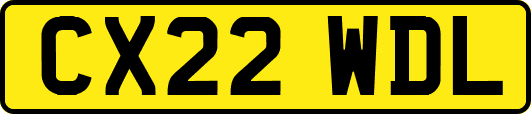 CX22WDL