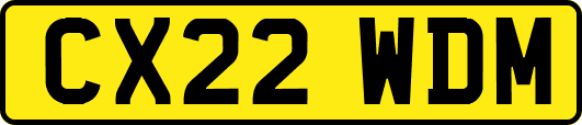CX22WDM