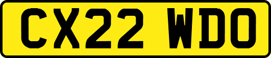 CX22WDO