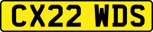 CX22WDS