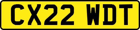 CX22WDT