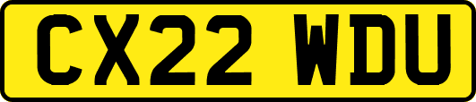 CX22WDU