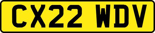 CX22WDV