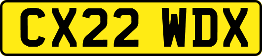 CX22WDX