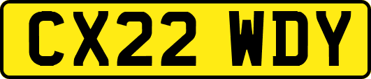 CX22WDY