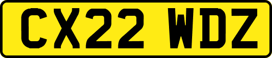 CX22WDZ