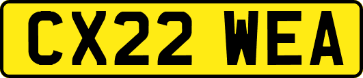 CX22WEA
