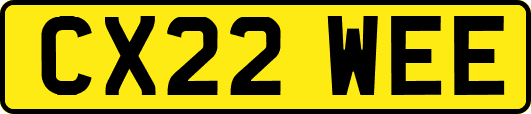 CX22WEE