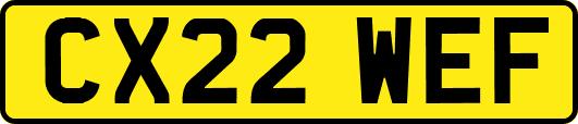CX22WEF