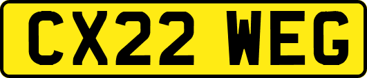 CX22WEG
