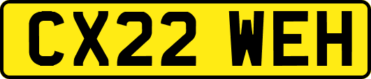CX22WEH