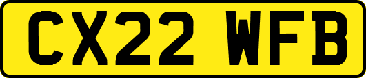 CX22WFB