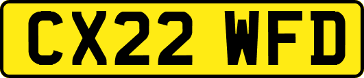 CX22WFD