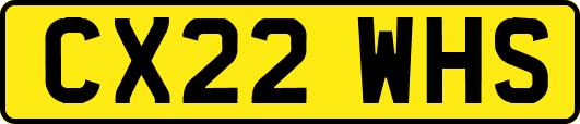 CX22WHS
