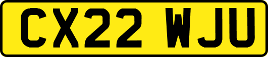 CX22WJU