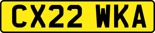 CX22WKA