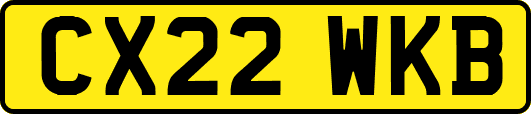 CX22WKB