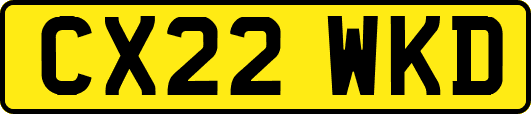 CX22WKD