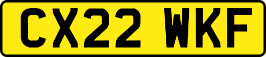 CX22WKF