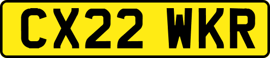 CX22WKR
