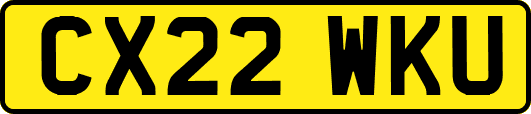 CX22WKU