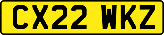 CX22WKZ
