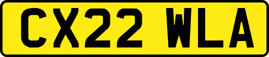 CX22WLA