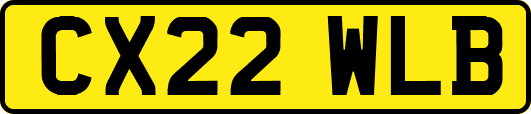CX22WLB