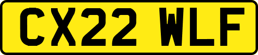 CX22WLF