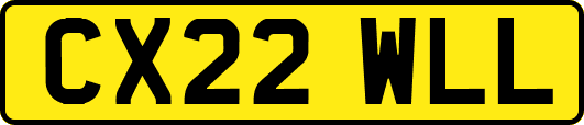 CX22WLL