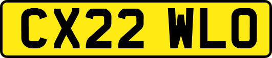 CX22WLO