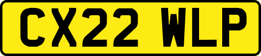 CX22WLP