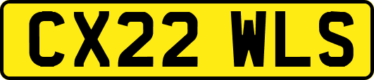CX22WLS