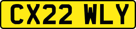 CX22WLY