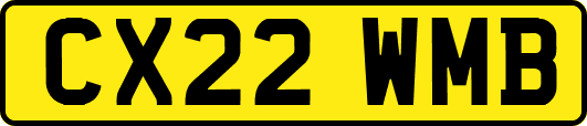 CX22WMB