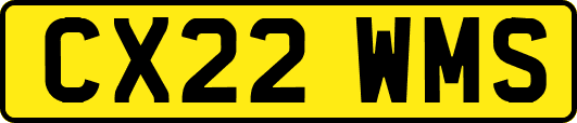 CX22WMS