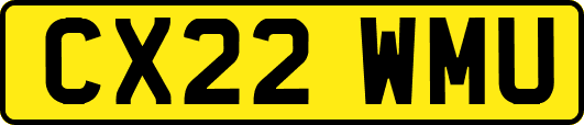 CX22WMU