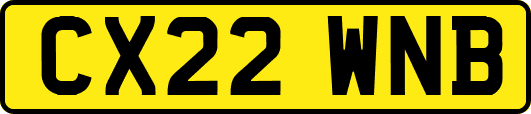 CX22WNB