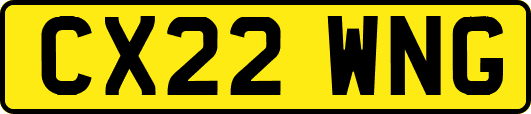 CX22WNG