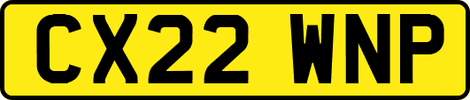 CX22WNP